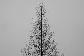 554752