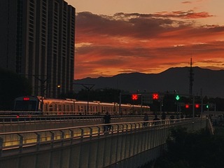 89455