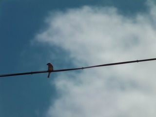 1287840
