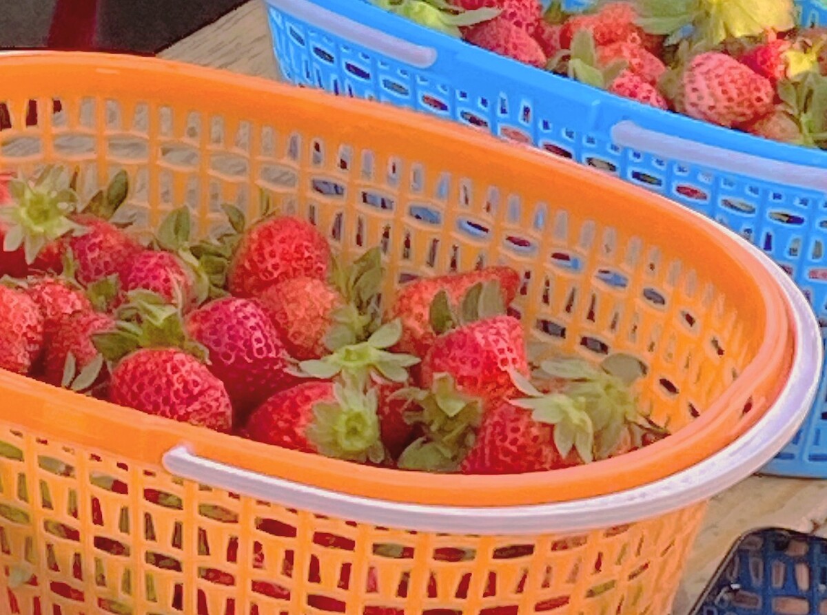 中国草莓市场