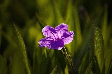 695420