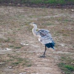 2_DSC0635抖擞