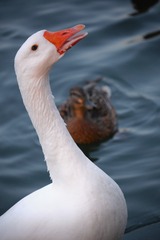 143073