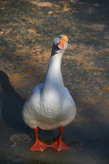 139705