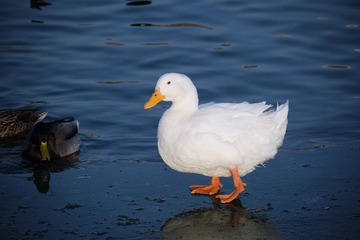 145735