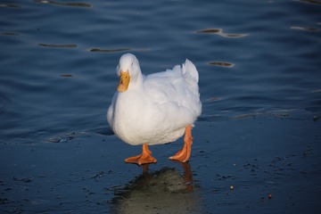145734