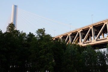 26274