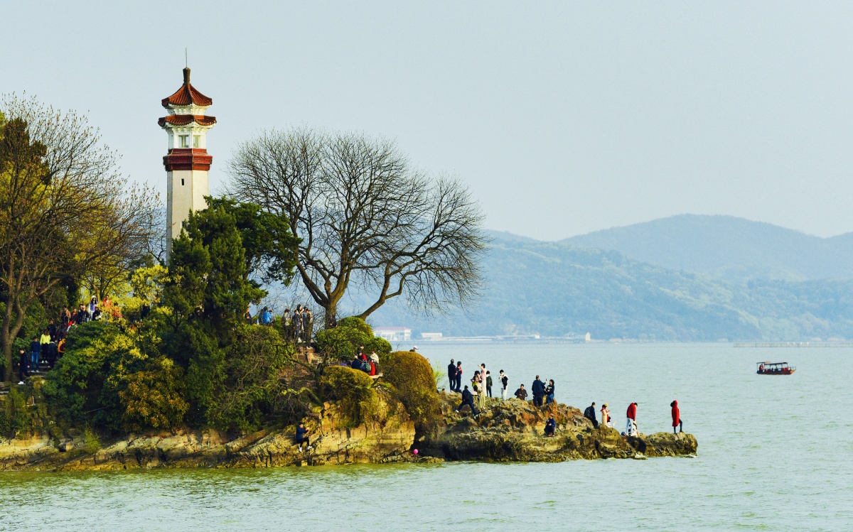 人景共天无锡太湖鼋头绪樱花每逢佳节人山人海游人比花多与湖水呈现