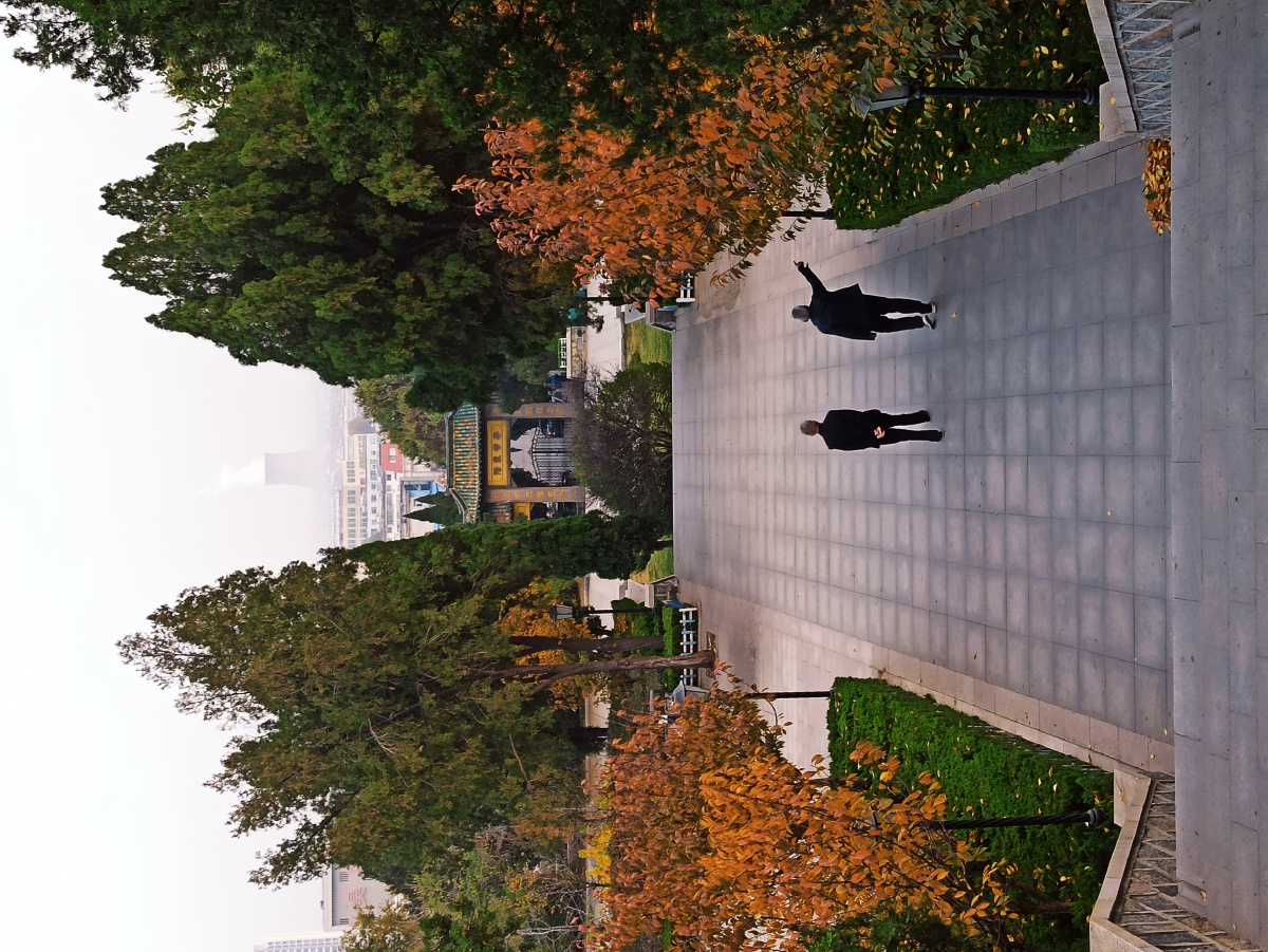 烈士纪念塔和电视发射台它们的位置是有讲究的2020年11月12日邹平黄山