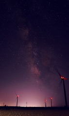 443081
