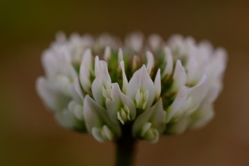 962288