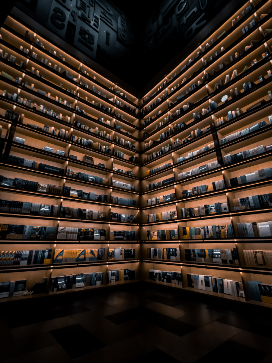 图书馆黑金系列喜欢的书墙