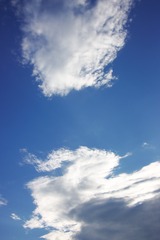2657311