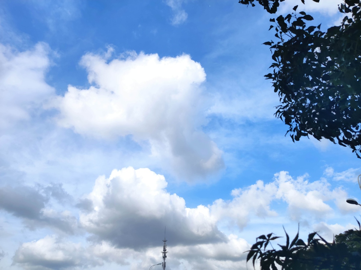 今日份软绵绵的云朵