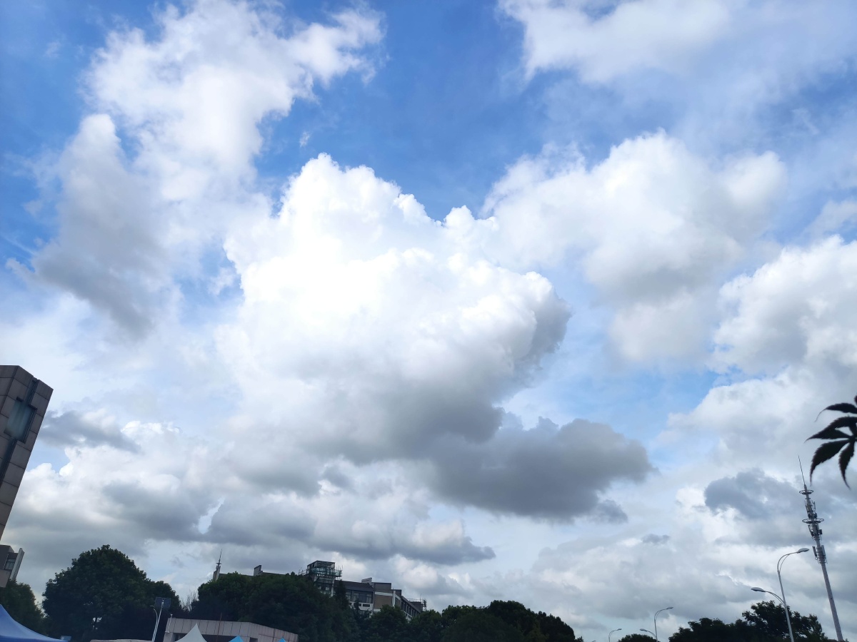 今日份软绵绵的云朵