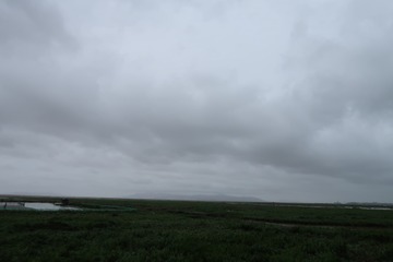 906683