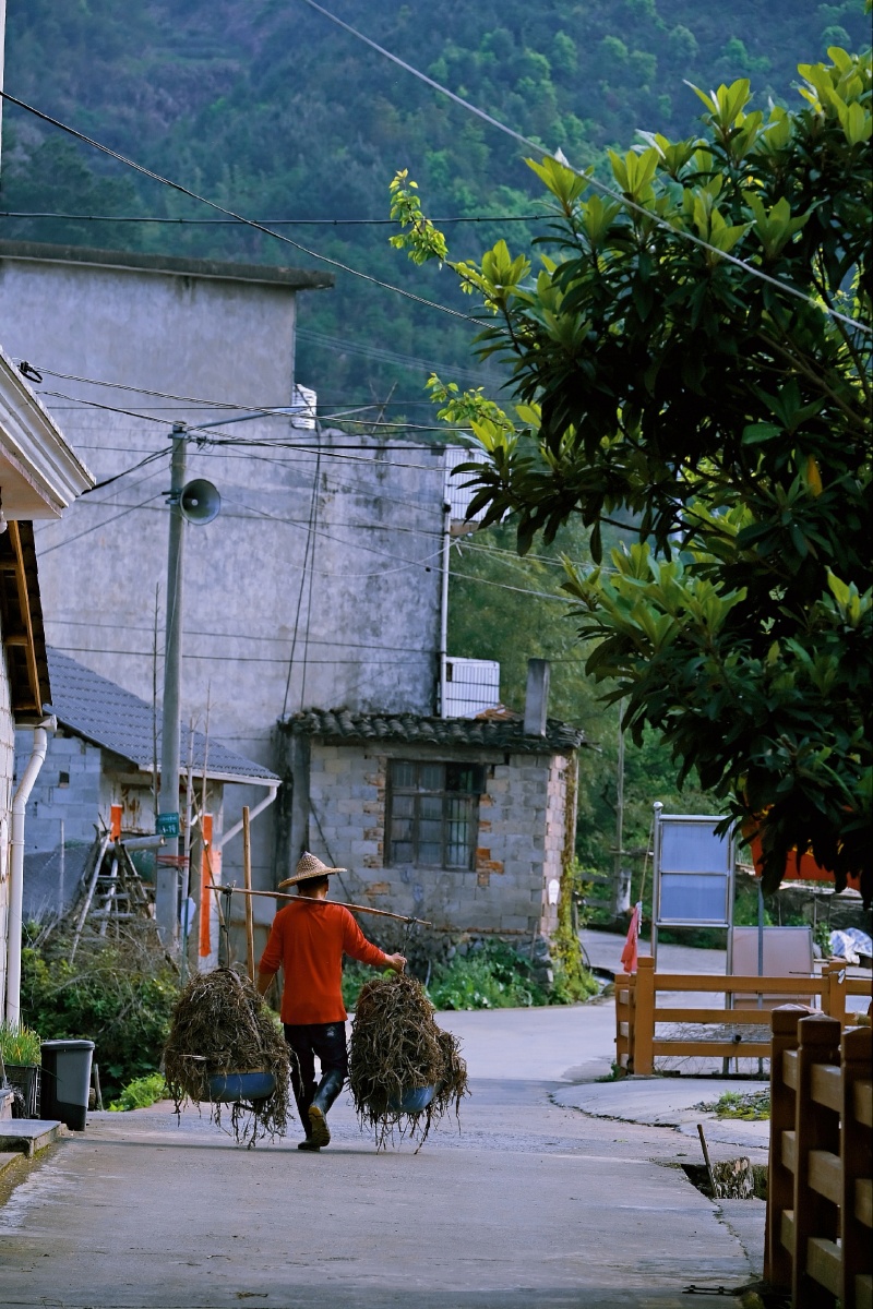 妈妈的老家龙泉兰巨乡剑湖村小小的村庄在春天里也是那么美呀