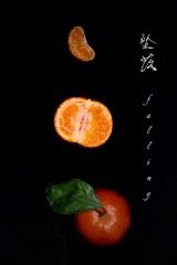 697D277B-BEF1-45D3-AEBA-195D274ECEF1/L0/001