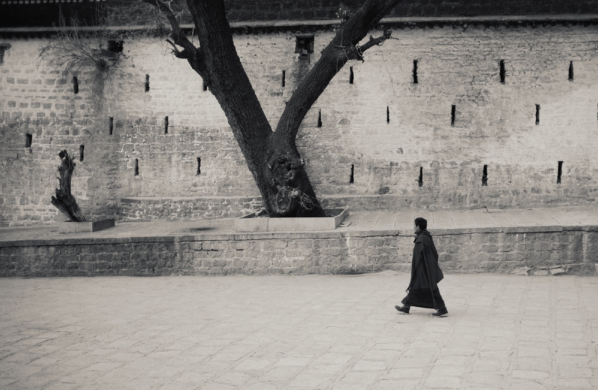 色拉寺里独行的僧人