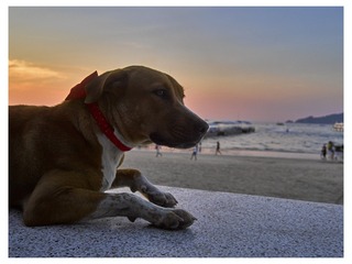 巴东海滩13