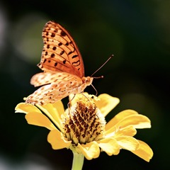 EE346B6B-40CB-423E-95DC-31441DB09864/L0/001