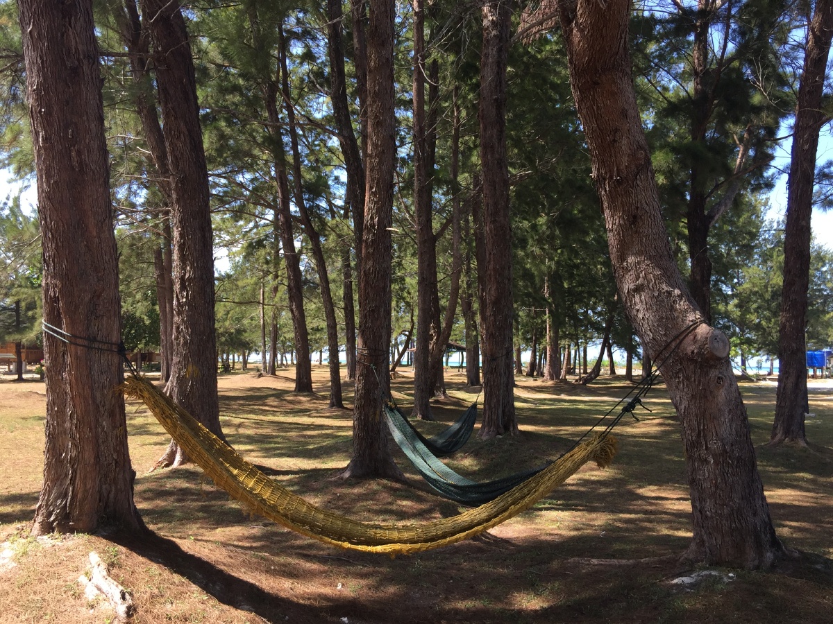 树林里的布吊床,图片拍摄于马来西亚沙巴环滩岛上