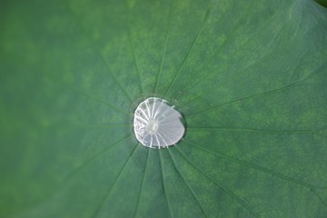 117015