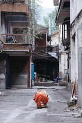 _DSC0204