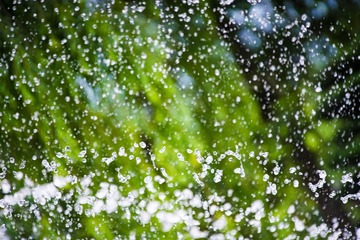 _DSC0178