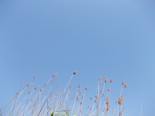 B6C8E489-AC4B-4E8C-A91B-A62D104F5205/L0/001