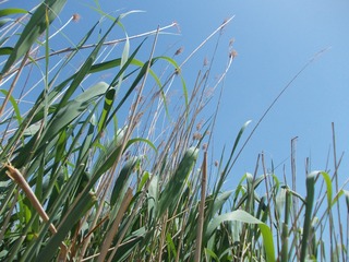 CB94B0BB-007B-402B-9EB5-6026E716AAF0/L0/001