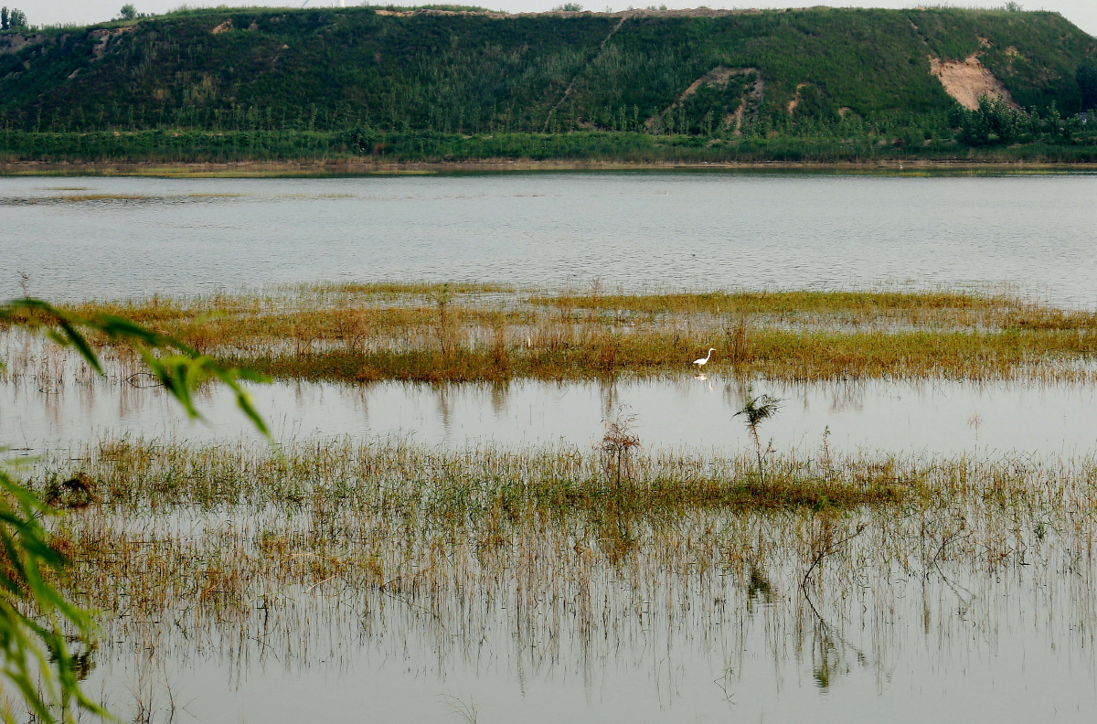 走遍内黄——赵庄水库·刘文英