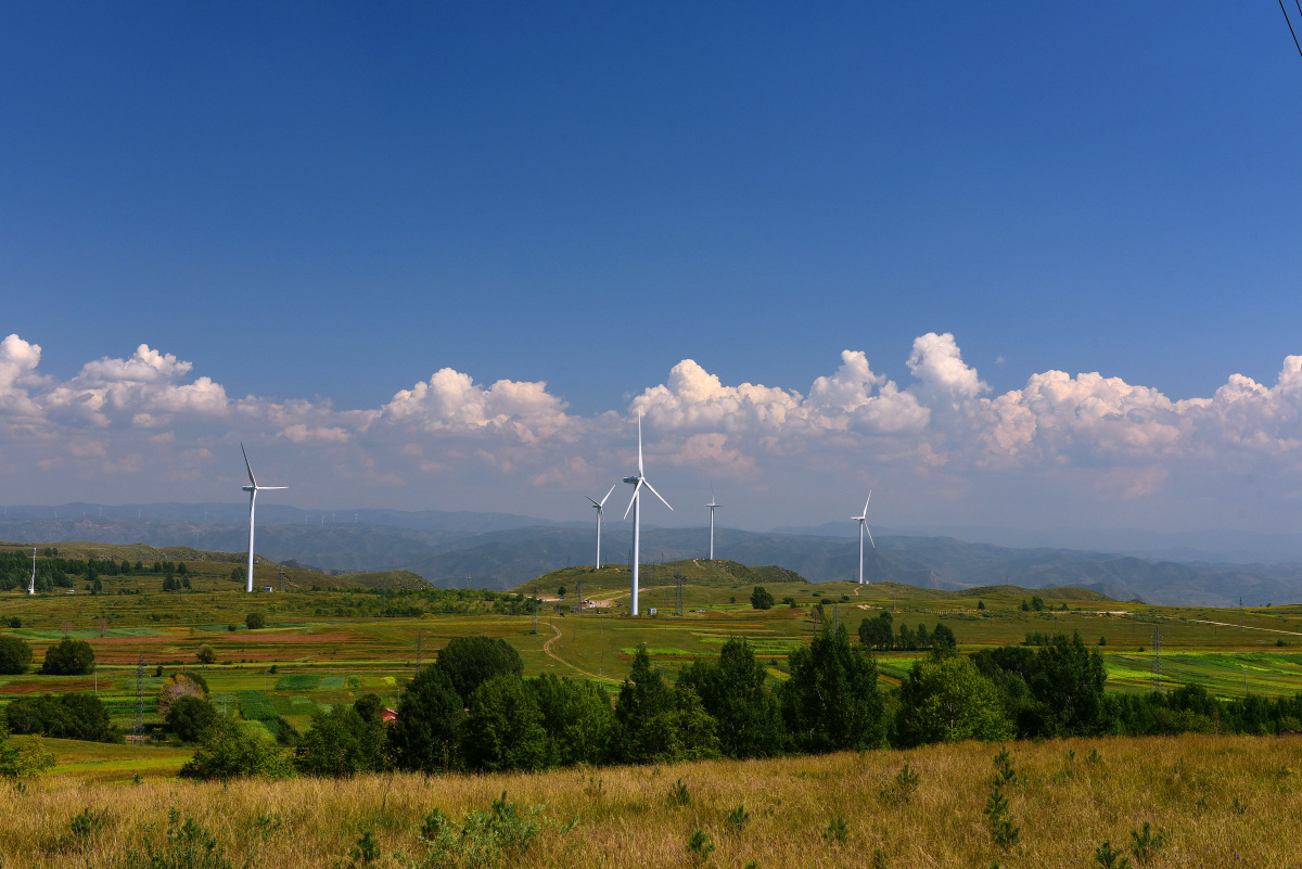 塞北风光 - 展翅翱翔71328