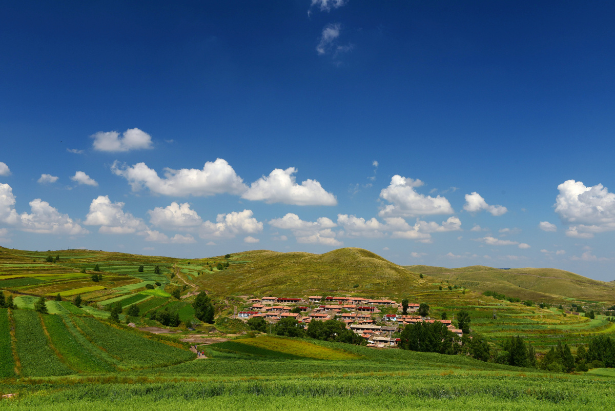 塞北风光 - 展翅翱翔71328