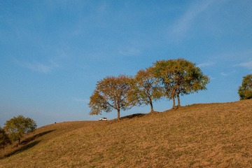2400659