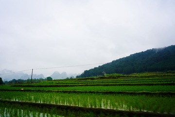 C35F09ED-848F-408C-ABF2-D105BB457643/L0/001