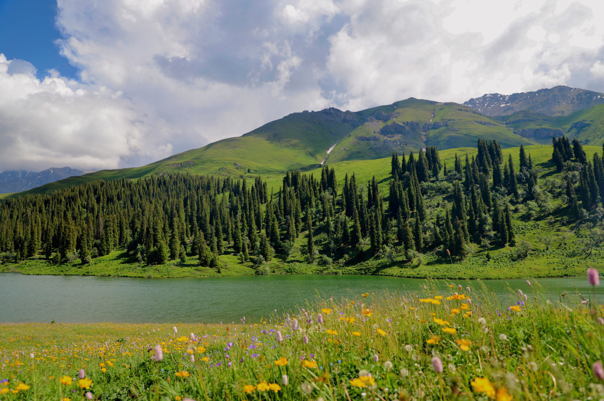 镶嵌在唐布拉百里画廊的仙女湖