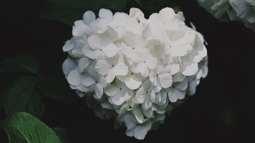 3E26CDEE-C8A2-4869-8DF8-C7BA3916E48D/L0/001