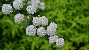 1B38E384-6894-4C18-9571-AD1E3031A860/L0/001