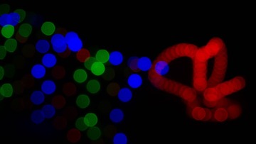 DED75463-6799-4052-9AB9-EC081D829907/L0/001