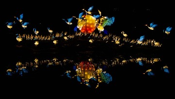 1D1364E3-455E-4D30-930B-E44C5D31DAB6/L0/001
