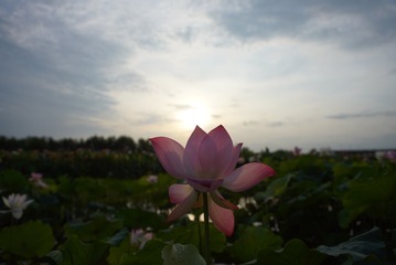 001