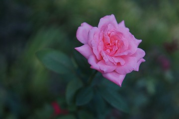 65057A37-7E90-465E-A2C3-5CF0A53B461A/L0/001