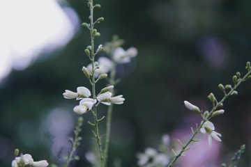 DD720A21-6402-41AB-B975-C93883107F9C/L0/001