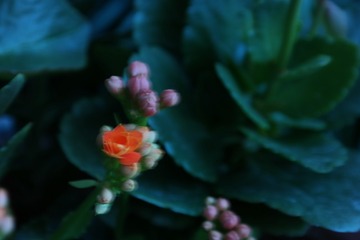 355846AA-78EF-4FE3-94FE-A8C02C96432D/L0/001