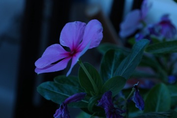 9F5E60CB-B90B-40A3-9C4F-F5A3BE71AA5F/L0/001