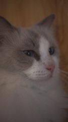 1068955