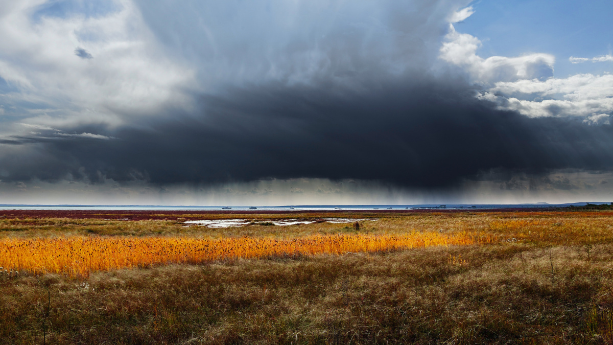 一片浓重的乌云象要浸入达里湖的水面…….