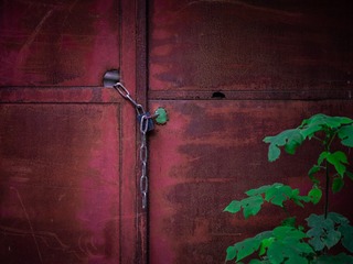 C0CBDBDB-C56C-4D53-A18D-E07C8AC60039/L0/001