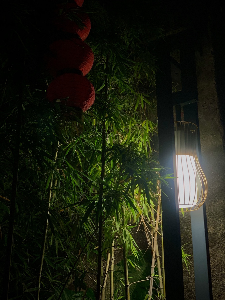 万家灯火阑珊处总有一处是归处